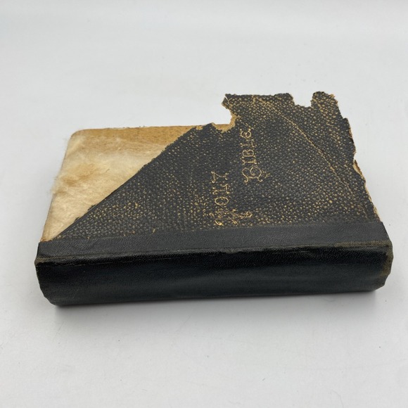 Lot of 5 Vintage Old Rare Antique Hardcover Softcover Books 1800s Read - Picture 16 of 16